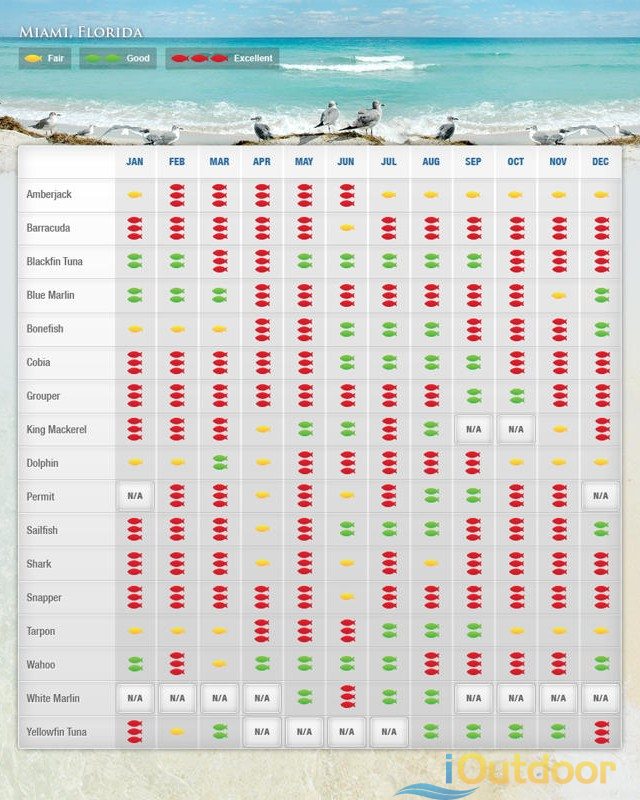 Miami fishing calendar