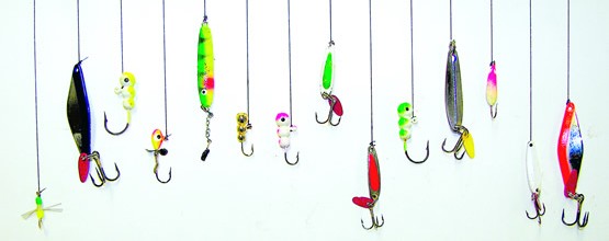 What kind of bait should I use? - iOutdoor Fishing Adventures