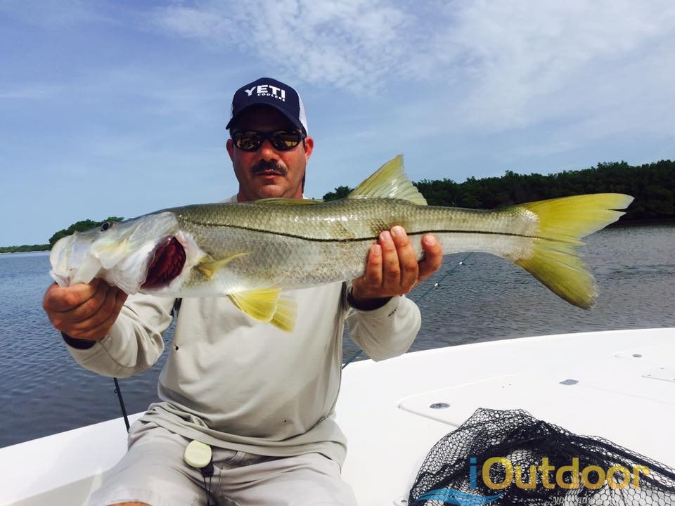 snook florida seasonal treat fishing ioutdoor