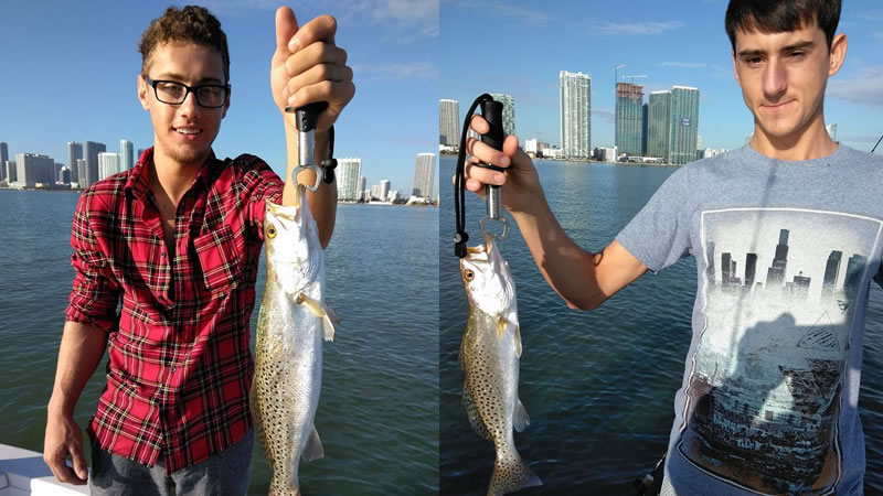 Miami Sea Trout Fishing
