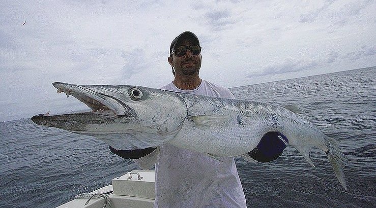 Great Barracuda Fishing in Homestead, FL - FishingBooker