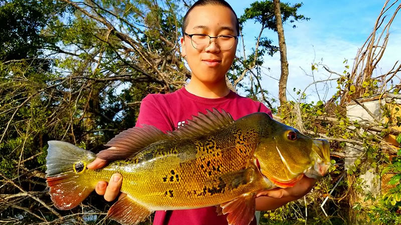 Outstanding Blue Lagoon Fishing