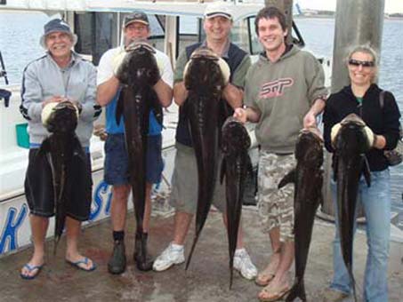 How to Catch and Prepare Cobia - iOutdoor Fishing Adventures