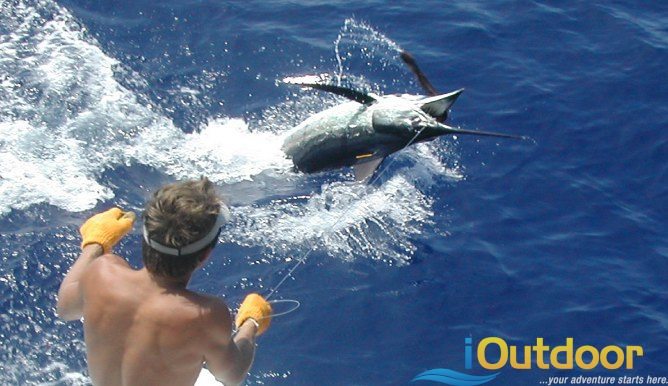 Mississippi deep sea fishing charters - Mississippi offshore fishing