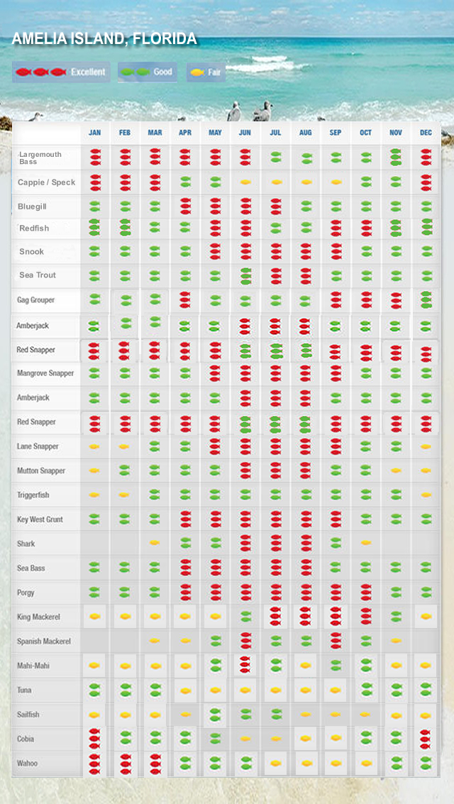 Amelia Island Activities Calendar What Fish are Biting and When Amelia