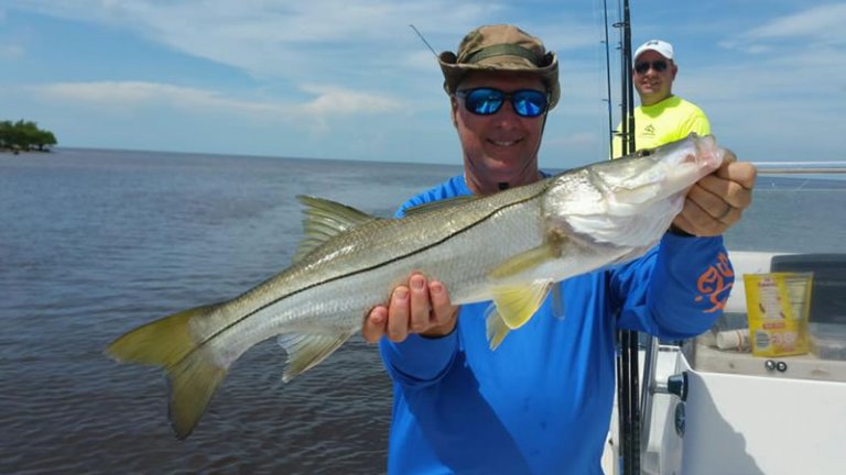 naples fishing trips