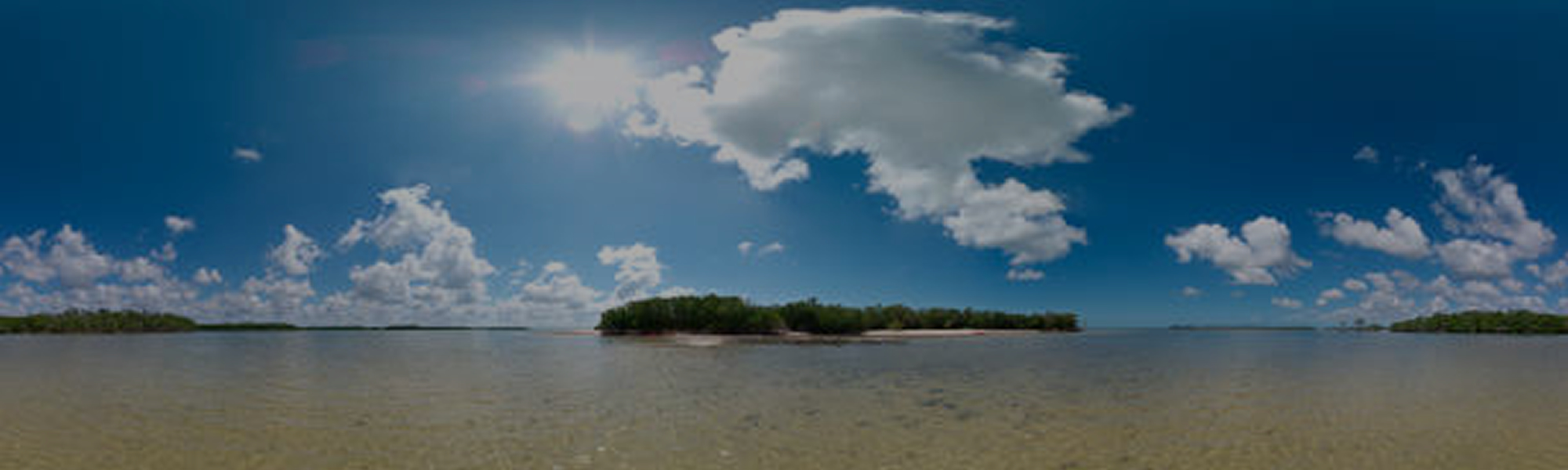 Flamingo Everglades National Park