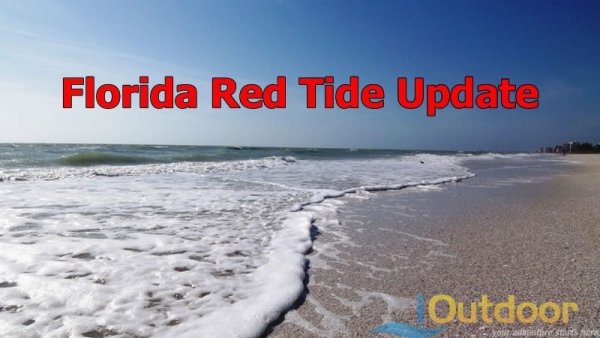 florida-red-tide-update-florida-fishing-tourism-conservation-travel