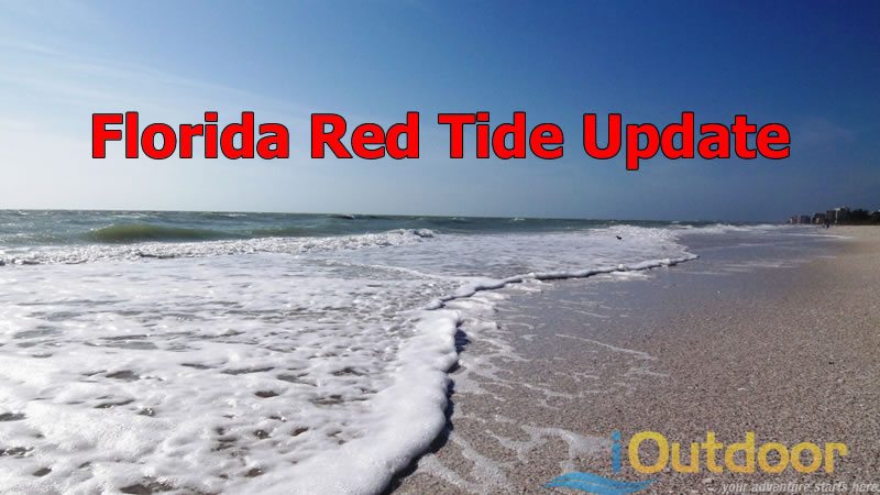 Florida Red Tide Update