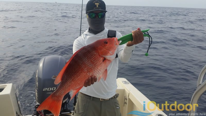 Ponce Inlet Snapper Fishing