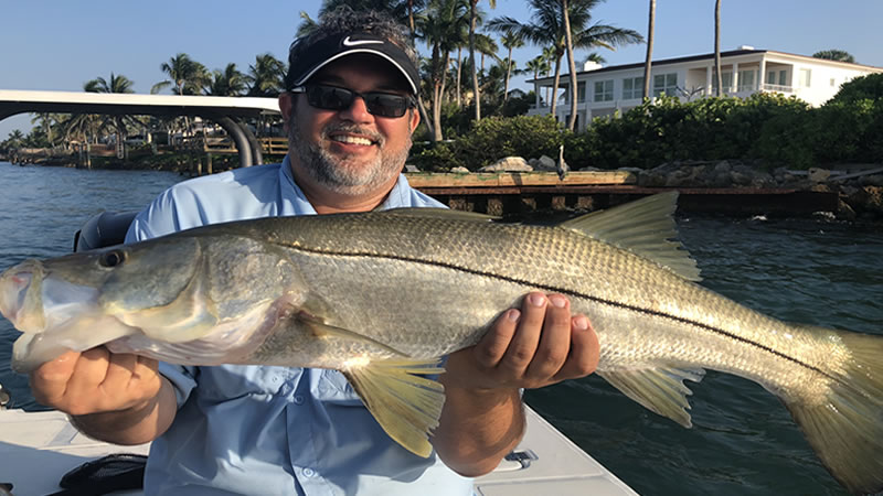 Tampa Snook Fishing - Captain Matt Fishing Charters