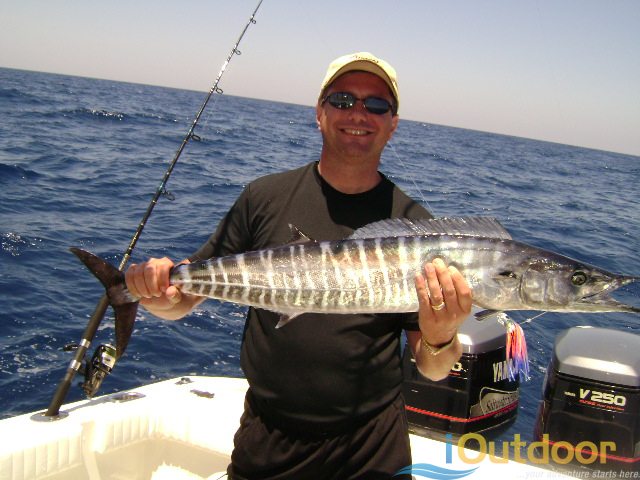 Why is a Wahoo Fish Called a Wahoo? - iOutdoor Adventures Fishing Tips