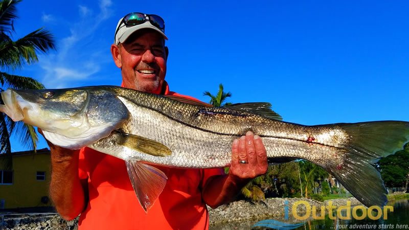 Freshwater Snook Fishing Charters