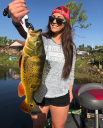 GOLDEN GATE CANAL SYSTEM FISHING