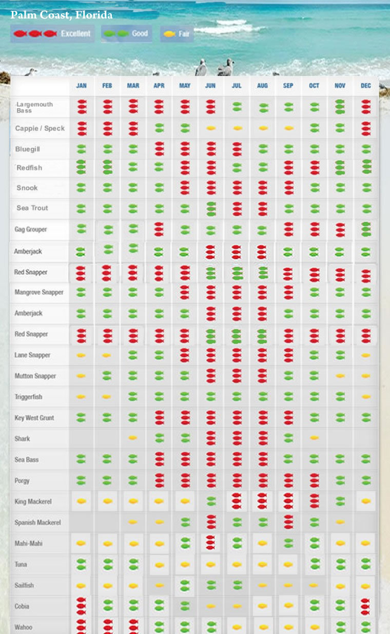Palm Coast FL Fishing Calendar iOutdoor Fishing Adventures