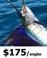 Orlando Offshore Fishing charters