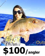 Tampa Offshore Fishing Charters