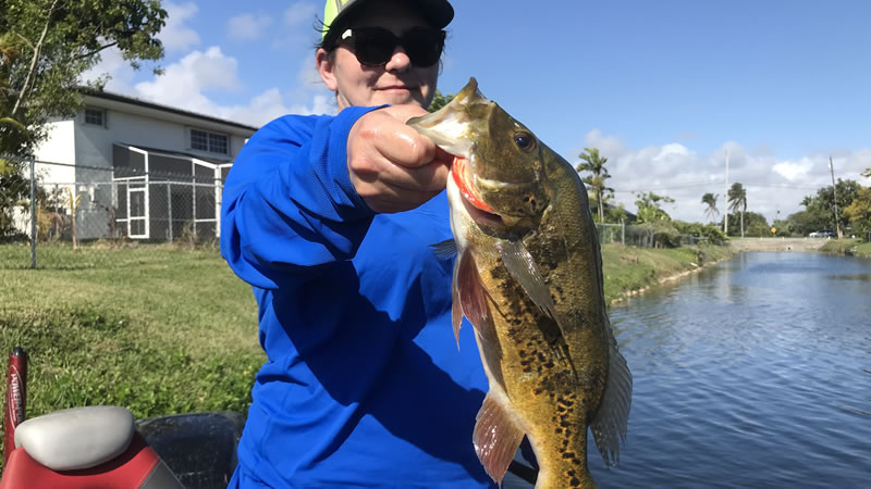 Miami Bass Fishing Experience 2