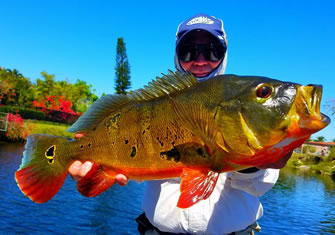 Outdoors: Tarpon thrills by leaps and bounds