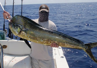 %Fishing Charters%