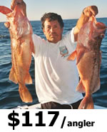 St Petersburg Offshore Fishing Charters