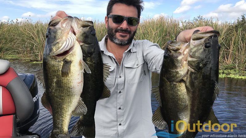 Florida Everglades Fishing Experience