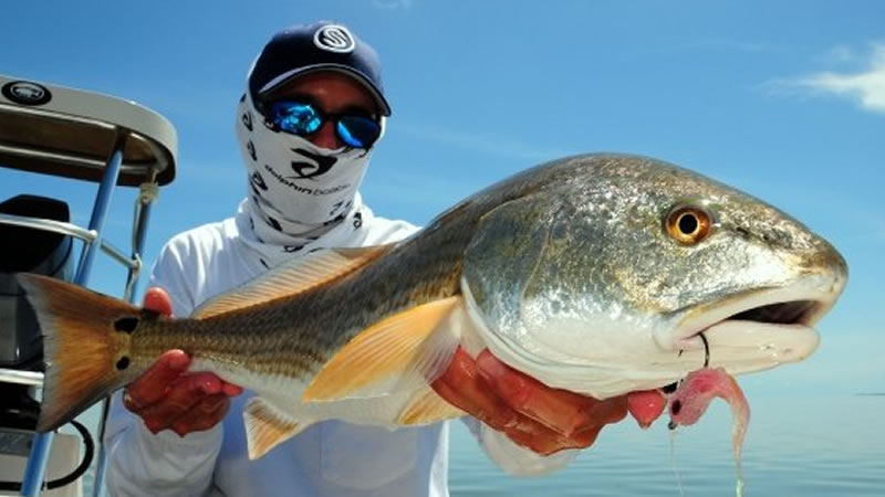 Backcountry Fishing Florida  Backcountry Charters and Guides