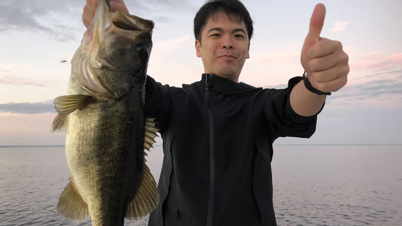 Professional anglers bass fishing with artificial lures