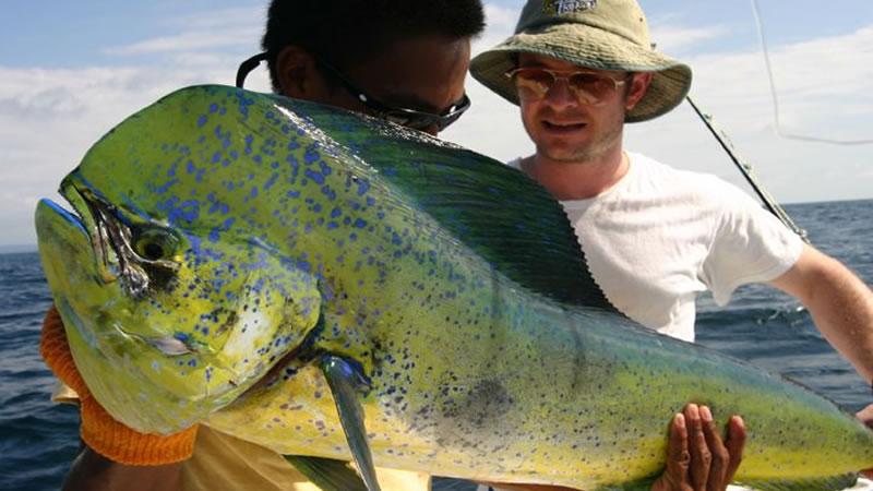 Florida Sport Fishing - iOutdoor Florida Sport Fishing Charters