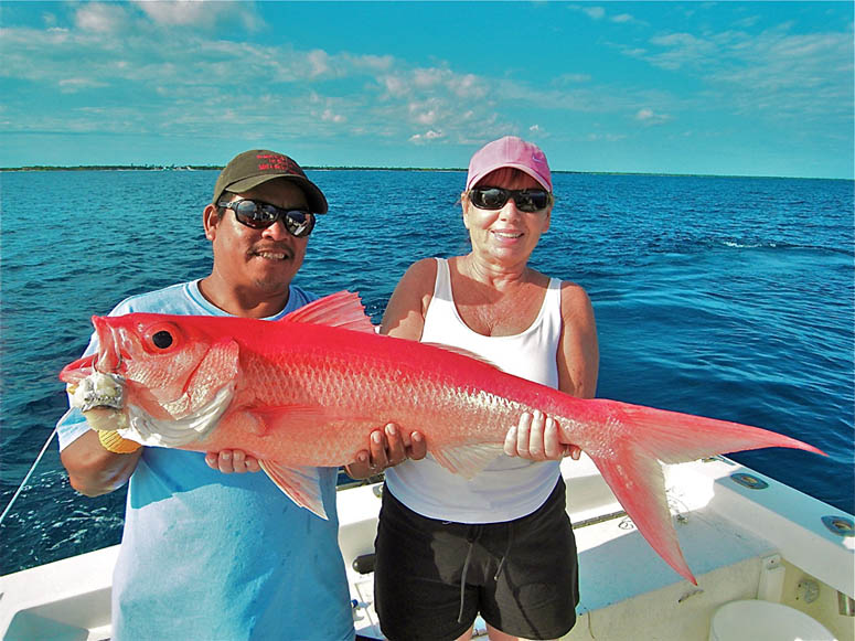 Snapper Fishing Adventure