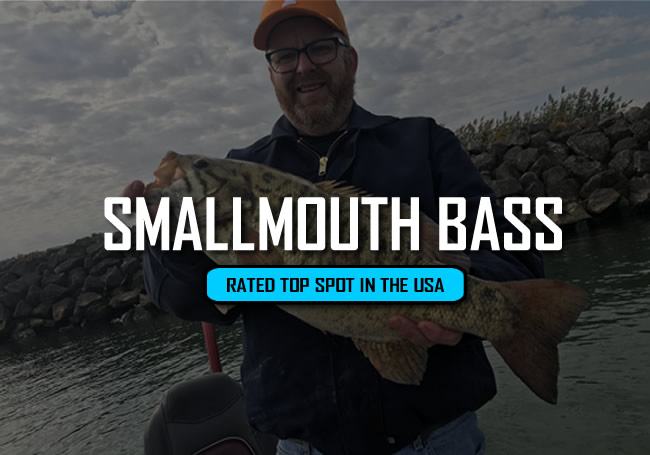 Lake Erie Smallmouth Bass Charters