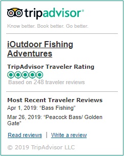 iOutdoor TripAdvisor Button