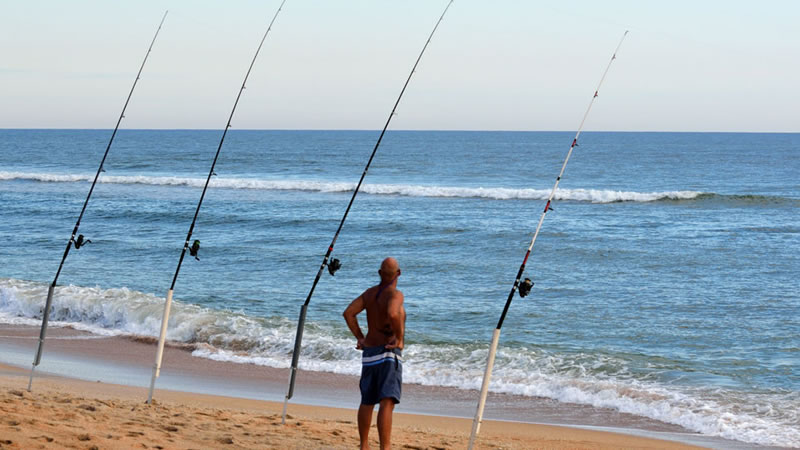 Shoreline Fishing in Florida