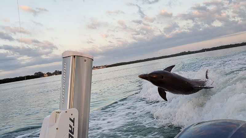 June Boca Grande Fishing 6