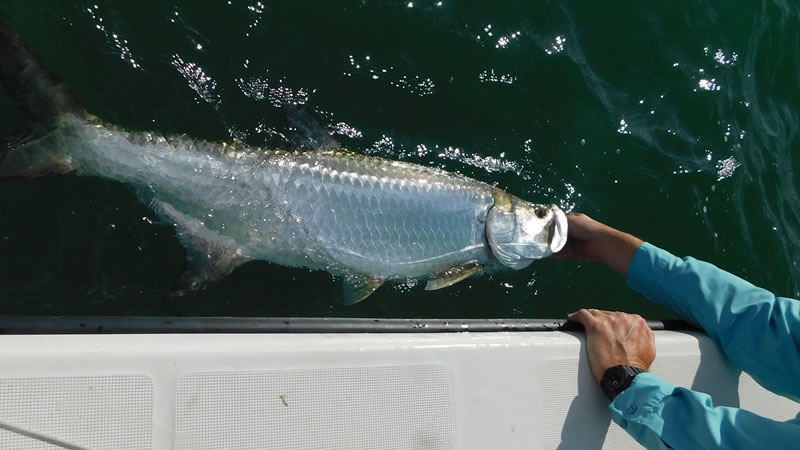 July Marathon Backcountry Fishing 4