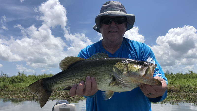 Orlando Summer Bass Fishing