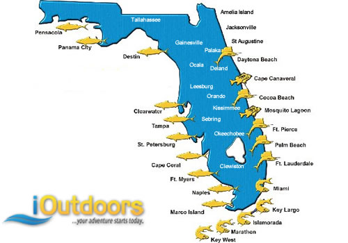 Cape Canaveral Offshore Fishing Map