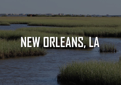 NEW ORLEANS TOURS AND ACTIVITIES