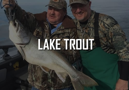 Erie PA Lake Trout Fishing Charters