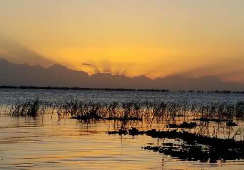 Lake Toho Eco Tour