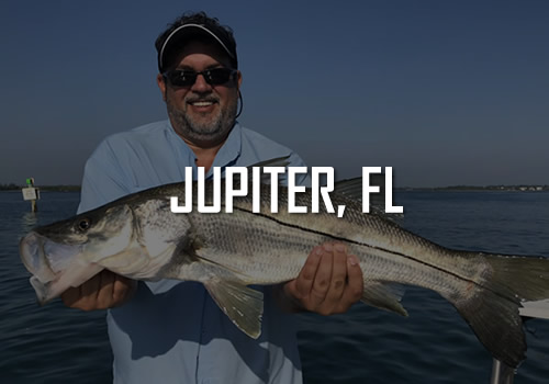 Jupiter Fishing Charters and Activities