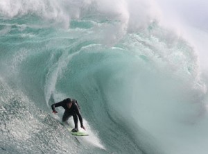 Surfing in Florida