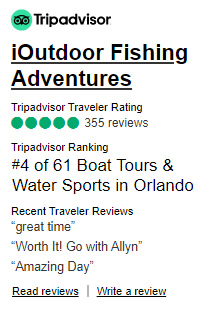 TripAdvisor Reviews