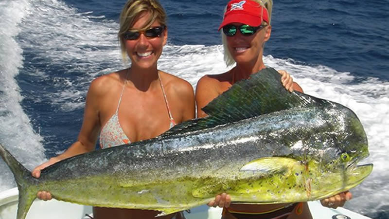 Trophy catch with dead bait for Mahi Mahi