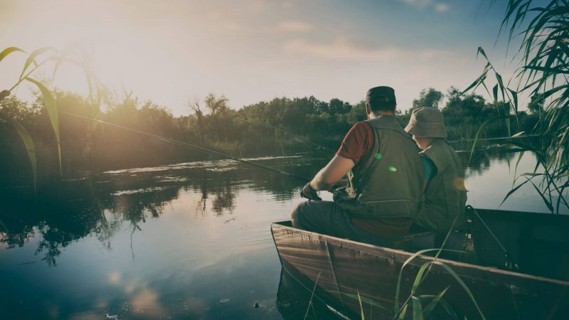 The Process of fishing