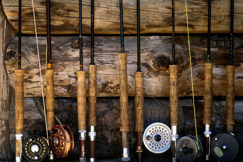 Freshwater Fishing vs Saltwater Fishing: Explained - iOutdoors
