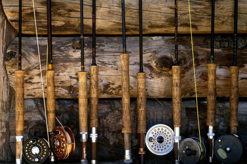 Freshwater Fishing vs Saltwater Fishing: Which One is for You?