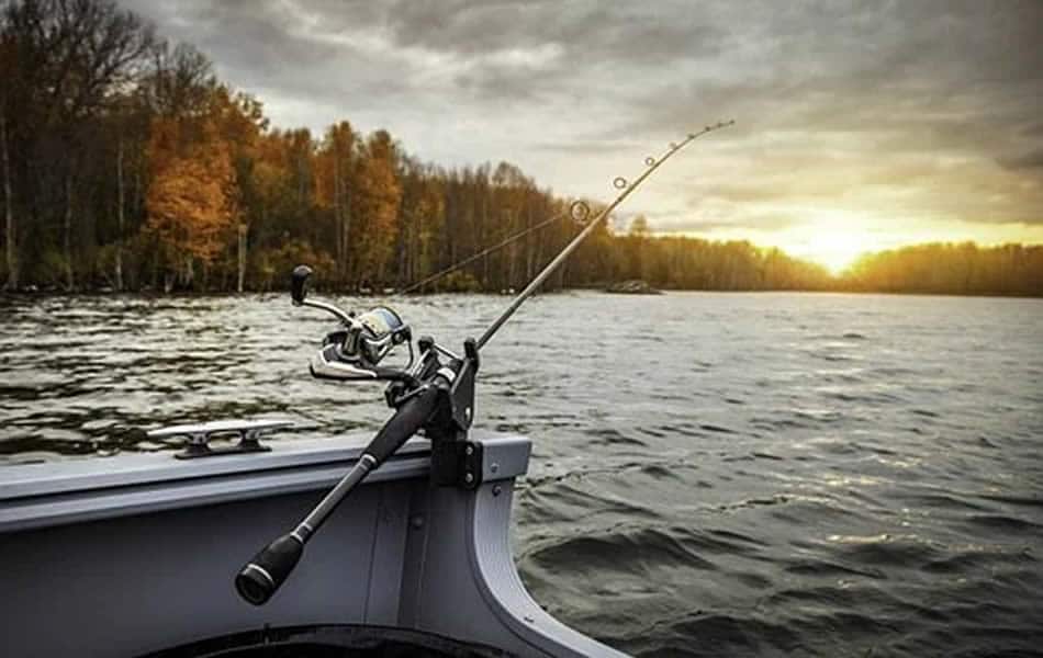 Nothing like rain to turn the fish on, Outdoors