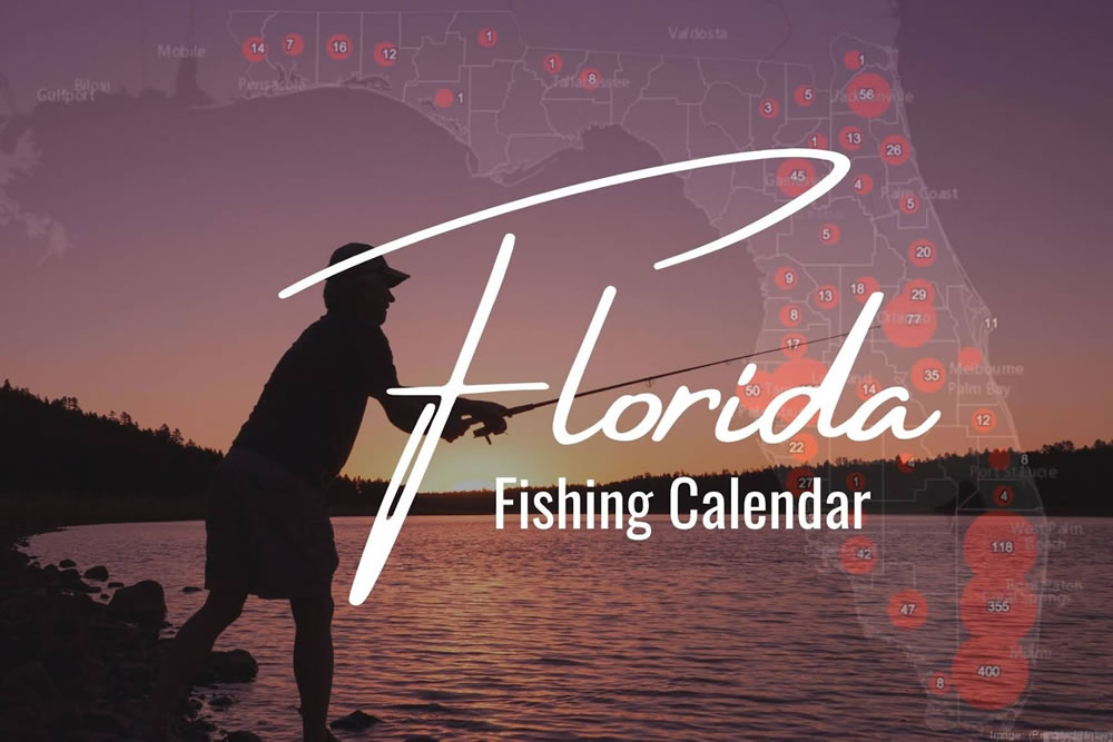 The Ultimate Florida Fishing Calendar