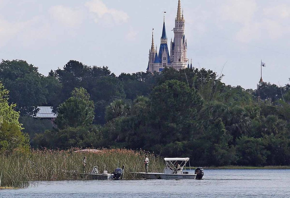 Child dragged into water by gator near Disney's Grand Floridian